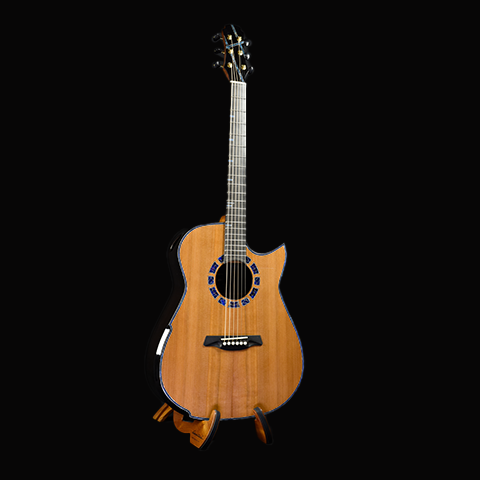 Blue Label | MD Sinker Redwood Brazilian Rosewood | #203 Fingerstyle China